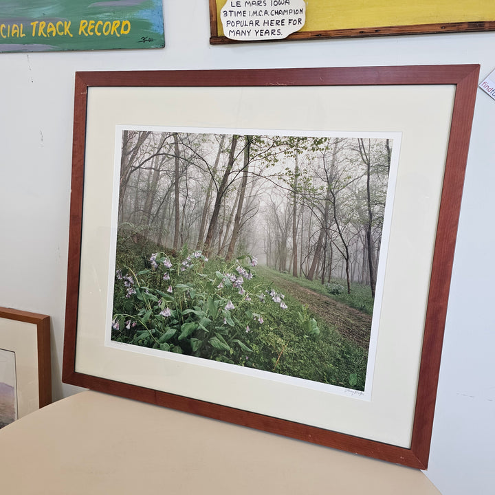 Framed Photography - Larry Kanfer