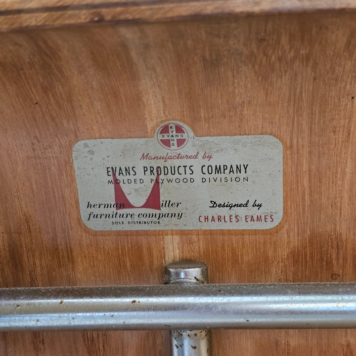 Early Collectors Eames DCM Chair
